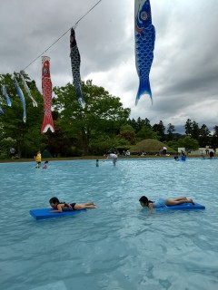 IMG_20170504_142304.jpg