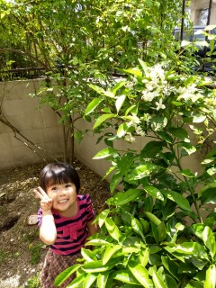 IMG_20170505_115639.jpg