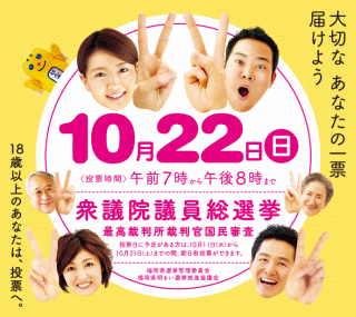 第48回衆議院議員総選挙及び最高裁判所裁判官国民審査について