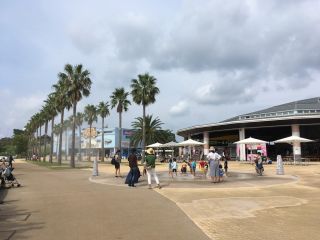 意外と空いててビックリ
