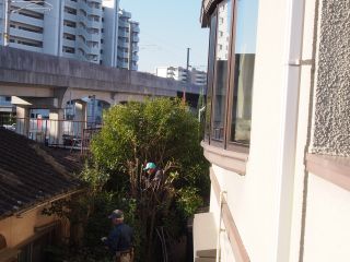 PB054266.JPG