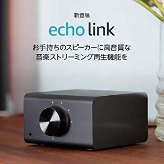 Amazon Echo Link