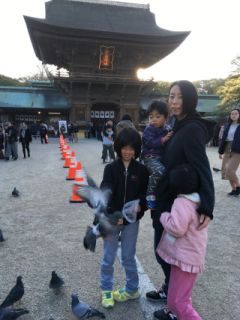 初詣で鳩まみれ