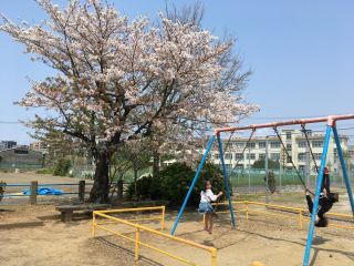 お昼休みは公園へ