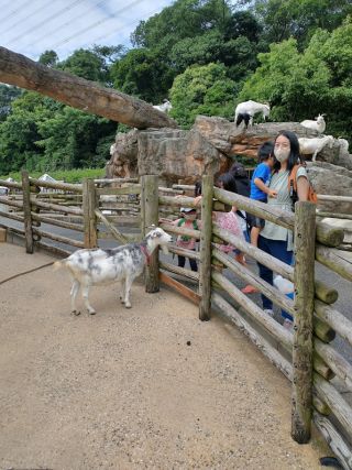 久々の動物園で盛上がり!